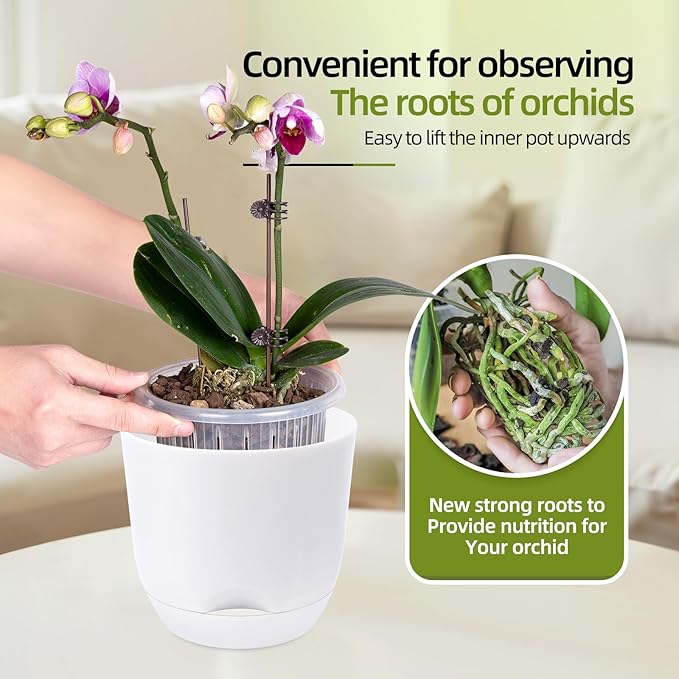 QCQHDU 2 Pack 5.7Inch Orchid Pots with Holes for Repotting, Double-Layer and Self Watering Orchid Pot with Good Air Circulation