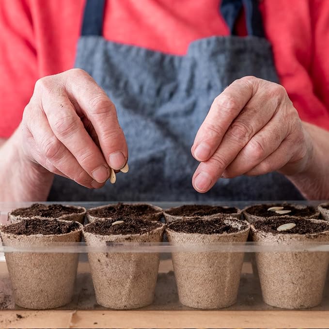 Sphagnum Peat Moss for Plants 1qt, Organic Garden Growing Soil Amendment and Media for Flowers, Vegetables, Herbs, Orchid, Indoor Houseplant