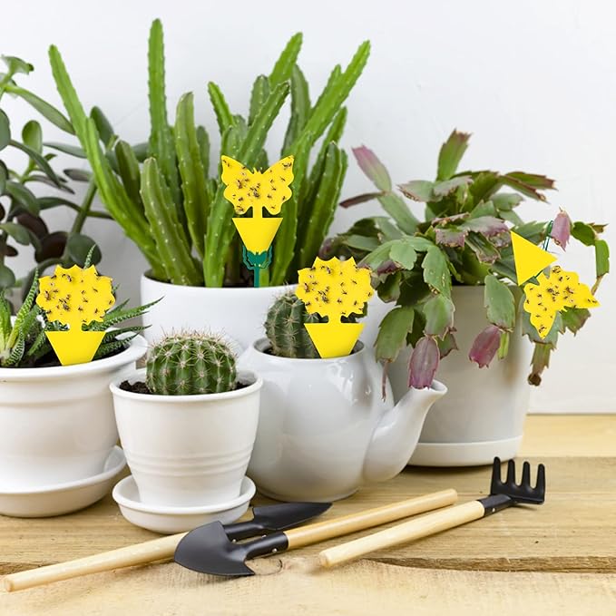 54 Pack Fruit Fly Trap for Indoor, Gnat Traps for House Indoor, Fungus Gnat Killer Sticky Traps for Plants, Mosquitoes, Flying Insects