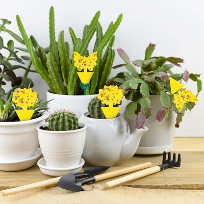 54 Pack Fruit Fly Trap for Indoor, Gnat Traps for House Indoor, Fungus Gnat Killer Sticky Traps for Plants, Mosquitoes, Flying Insects