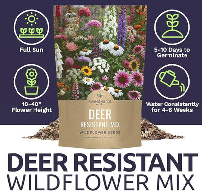 Deer Resistant Wildflower Seed Mixture - Bulk 1 Pound Bag - Over 240,000 Deer Tolerant Seeds - Open Pollinated and Non GMO