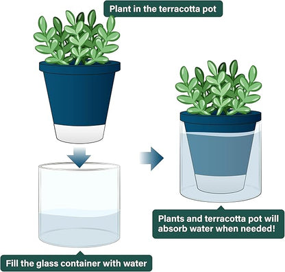 D'vine Dev 4 Inch Design Self Watering Planter for Indoor Plants, Blue Terracotta Pot with Cylinder Glass Cup, Set of 3, 37-Z-A-4-T