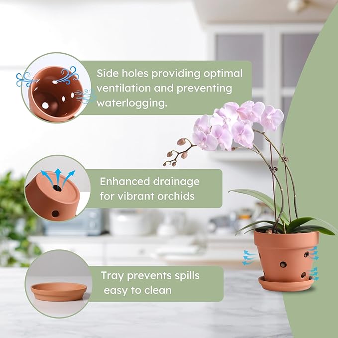 Clay Orchid Pots with Holes,Terracotta Orchid Pots with Drainage Holes & Saucer for Repotting 6 Inch, Orchid Planters for Indoor Plants