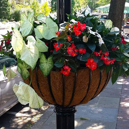 16 Inch Coco Liner for Planters, 2PCS Round Replacement Plant Basket Liner, Coco Fiber for Hanging Basket