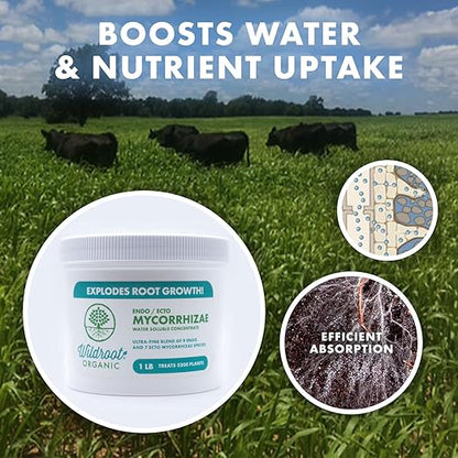 Organic 5 oz Mycorrhizae 16 Species Inoculant Treats 6,000 4-Inch Plants. Explodes Root Growth, Saves Water. Allow Your Plants, Garden and Trees to Thrive!