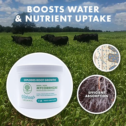 Mycorrhizae 16 Species Inoculant (1 oz) Improves Drought Tolerance + Saves Precious Water + Fertilizer, Root Stimulator • Explodes Root Growth [1 oz Treats 1,200 (4 inch) Plants]