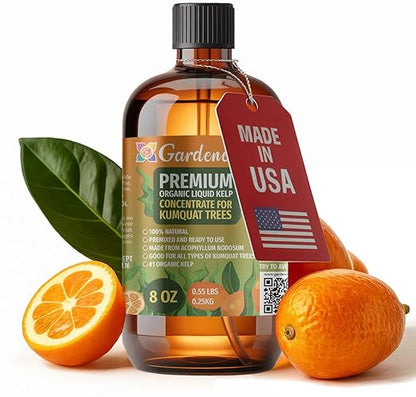 GARDENERA Premium Organic Seaweed & Kelp Superfood for Kumquat Plants - 8 oz - Liquid Kelp Fertilizer Concentrate (Makes 45 Gallons)