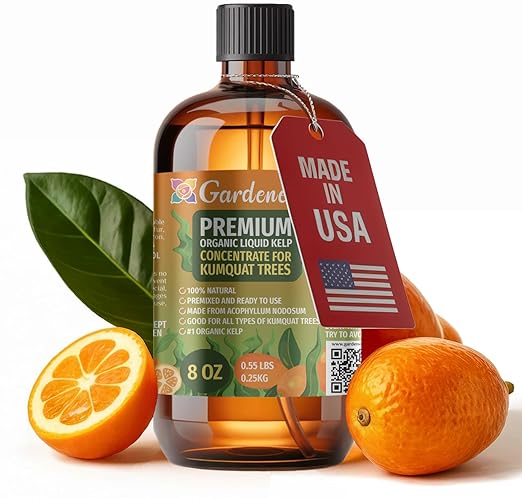 GARDENERA Premium Organic Seaweed & Kelp Superfood for Kumquat Plants - 8 oz - Liquid Kelp Fertilizer Concentrate (Makes 45 Gallons)