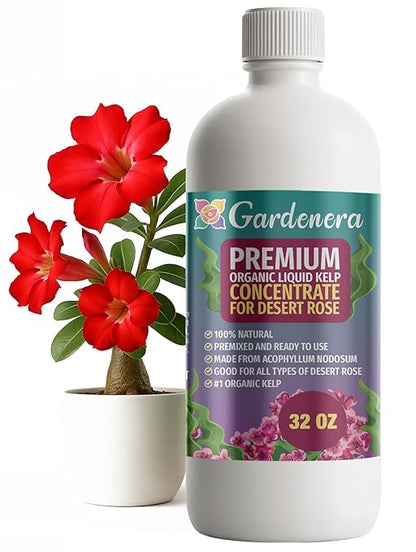 GARDENERA Premium Organic Seaweed & Kelp Superfood for Desert Rose Plants - 32 oz - Liquid Kelp Fertilizer Concentrate (Makes 180 Gallons)