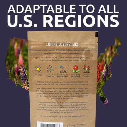 Bulk Lupine Mix Wildflower Seeds 1/4 Pound Bag - Over 4,500 Untreated Annual and Perennial Mixed Lupine Flower Seeds