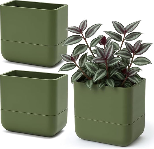 Phoenix Vine 6.5-Inch Wall Mounted Self-Watering Planter Pot for Indoor Houseplants and Herbs | Hanging Planter for Window Sills, Bathroom Walls, Home & Office Décor, Olive, Set of 3, 01-WP-C-3