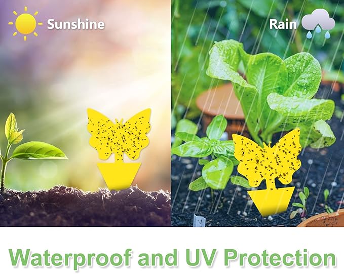 60 Pack Fruit Fly Trap for Indoors, Gnat Traps for House Indoor, Fungus Gnat Killer Sticky Traps for Plants, Bug Pest Insect Catcher Killer