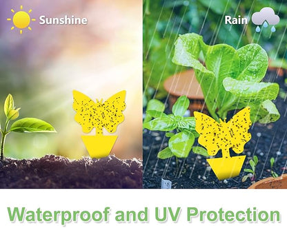 120 Pack Fruit Fly Trap for Indoors, Fungus Gnat Killer Indoor Sticky Traps for Mosquito and Flying Insects, Bug Pest Insect Catcher Killer for Houseplant