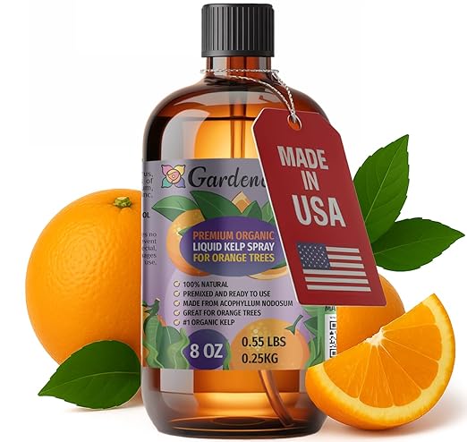 GARDENERA Premium Organic Seaweed & Kelp Superfood for Orange Plants - 8 oz - Liquid Kelp Fertilizer Concentrate (Makes 45 Gallons)
