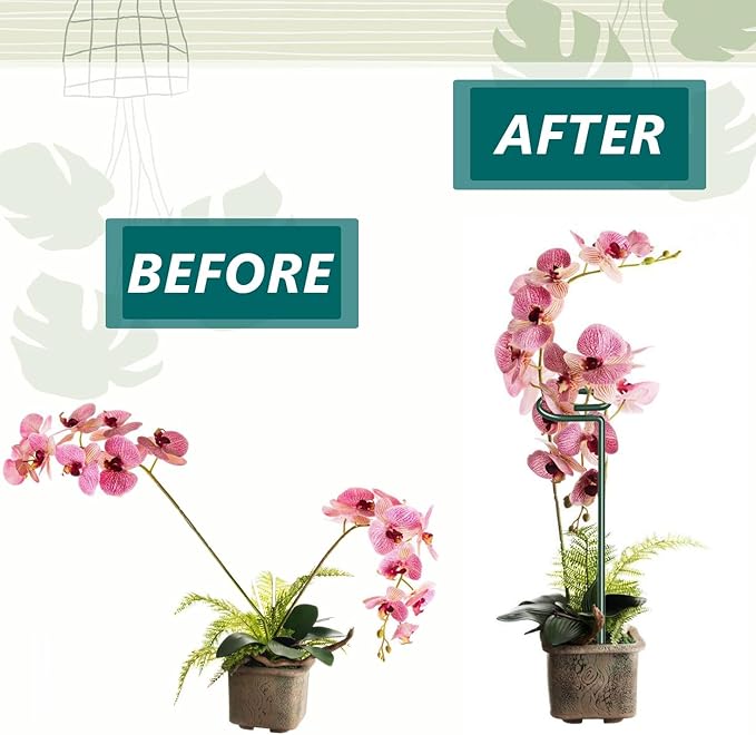 MAFONE 6 Pack 24inch Plant Support Stakes,Plant Stick for Two Sizes(12 or 24Inch) Garden Single Stem Flower Support Stake Plant Cage Support with 20pcs Clips and Plant Ties for Tomato Orchid Lily