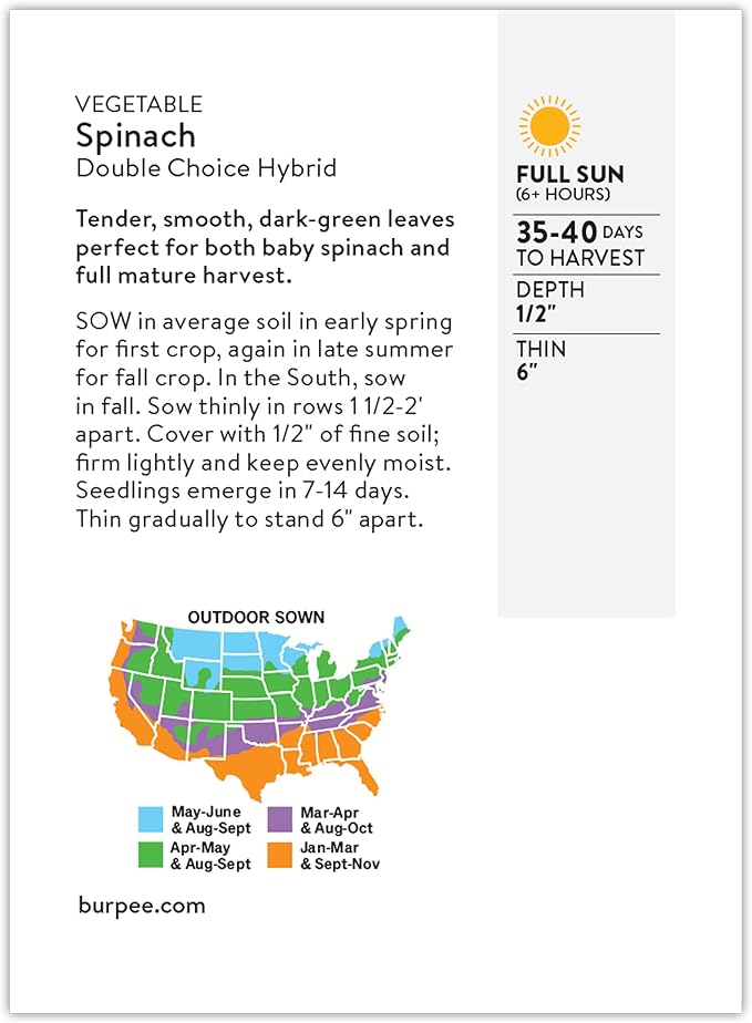 Burpee Double Choice Hybrid Spinach Seeds - Fast-Growing, Upright Greens