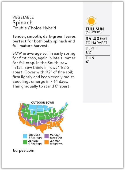 Burpee Double Choice Hybrid Spinach Seeds - Fast-Growing, Upright Greens