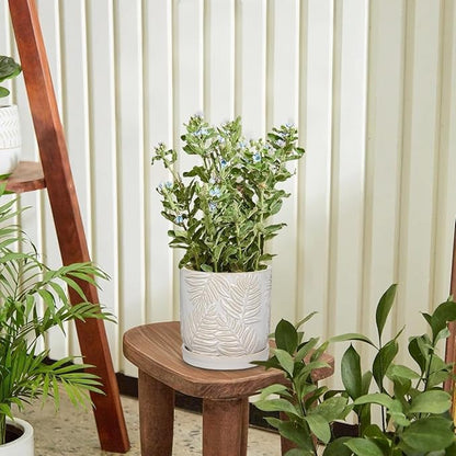 5.5 Inch Ceramic Planter Pots with Drainage Holes, Saucers for Indoor-Outdoor Plants, Succulent Orchid Flower Large Round Plant Pot Lvory White