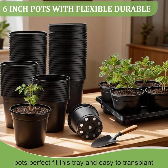 6 Inch Plastic Plant Pots 30 Pack and 6 Cell Nursery Pots Trays 5 Pack, Sturdy Seeds Starting Germination Shuttle Carrying Trays, Black Nursery Planting Propagation 5 Sets