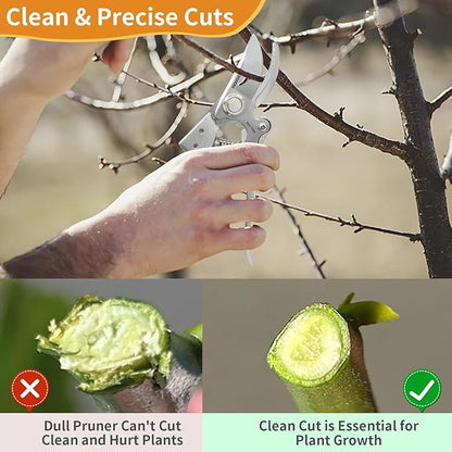 BOOSDEN Bypass Pruning Shears，8’’ Professional Garden Shears, Plant Garden Scissors with Sharp SK5 Steel Blades, Handheld Clippers for Cutting Flower, Trimming Plants, Bonsai, Fruits Picking