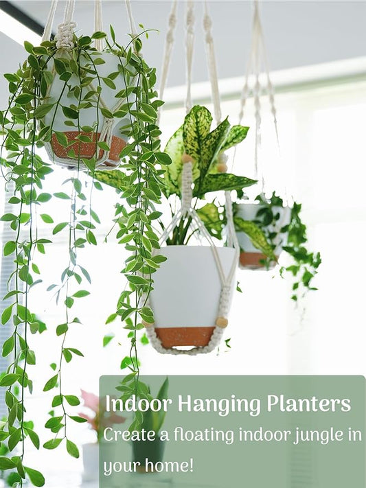 Hanging Planters with Macrame Plant Hangers for Indoor Outdoor Plants 3 Set Self Watering Pots Hanging Baskets Flower Pot Holders 3 Different Size