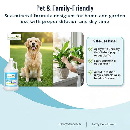 Ocean Magic Sea Mineral Fertilizer by GS Plant Foods(1 Gallon) - Soil Mineral Health Improvement Liquid Concentrate - Sea Minerals for Lawn and Turf, Gardens & House Plants
