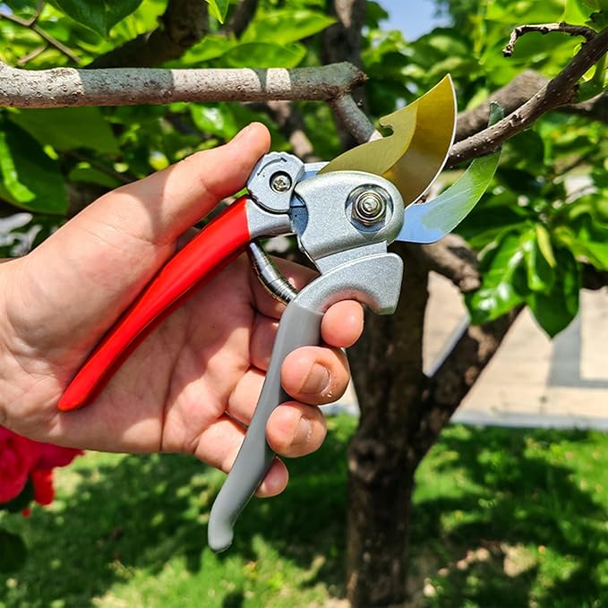 Ultra Sharp Germany Titanium Steel Pruning Shears - Cuts 3X Easier, Weak Hand Arthritis Snips, Rust-Resistant, Effortlessly 1-Inch Cut Capacity Garden Scissors, Ergonomic Handle (gt-04, 1)
