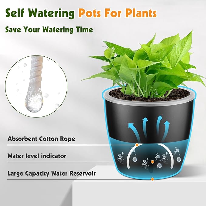 Self-Watering Pots for Indoor Plants, 6-Pack 6.7'' Self Watering Planter with Drainage Holes, Small African Violet Pots with Water Indicator, Clear Wick Pot, Black