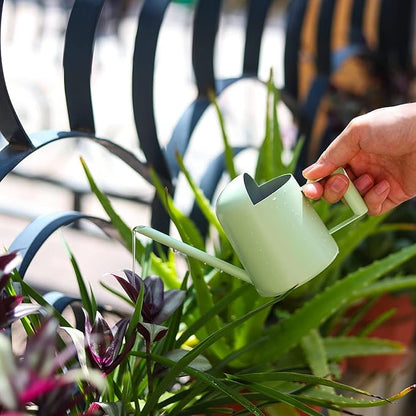 Mini Watering Can, 10oz/300ml Stainless Steel Long Spout Small Watering Can for Indoor Plants Succulents, Herbs (Green)
