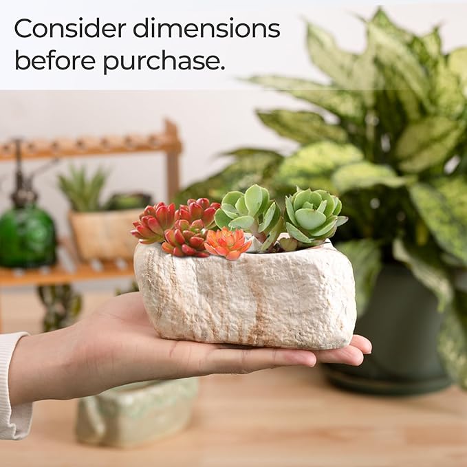 T4U 5.5 Inch Ceramic Succulent Pot Planter with Drainage Hole Set of 3, Stone Shape Rectangle Window Box Cactus Plant Containers Gift for Mom Sister Aunt Best for Home Office Table Desk Decoration