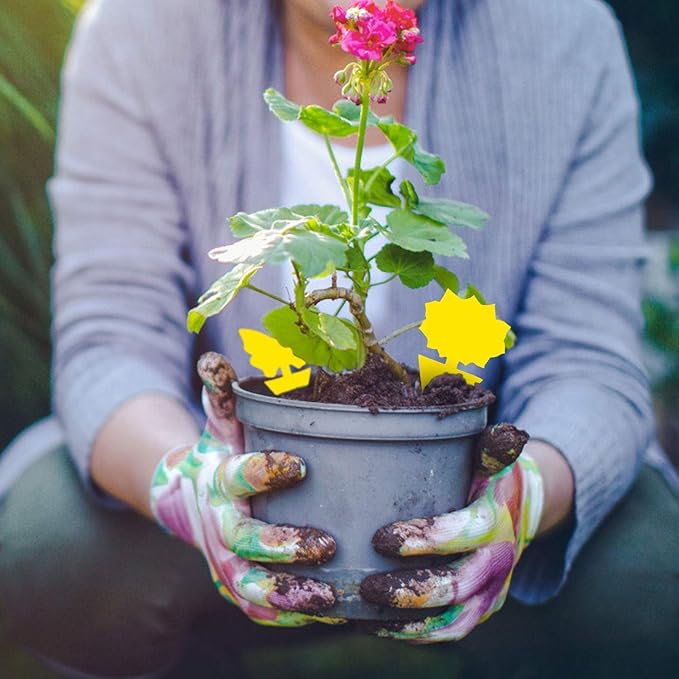 120 Pack Fruit Fly Trap for Indoors, Fungus Gnat Killer Indoor Sticky Traps for Mosquito and Flying Insects, Bug Pest Insect Catcher Killer for Houseplant