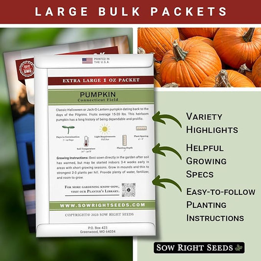 Sow Right Seeds - Bulk Connecticut Field Pumpkin Seeds for Planting - 1 Ounce, 140 Seeds - Non-GMO Heirloom Jack O’Lantern to Plant a Home Vegetable Garden - Grow Loads of Pumpkins