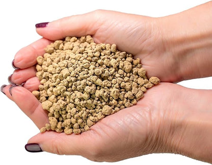 Gardenera Organic Anthurium Soil Blend - Promote Strong Root Development and Beautiful Flowers - 20 QUARTS