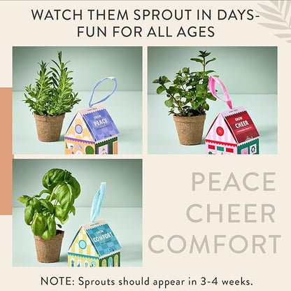 Modern Sprout Homegrown Ornament Grow Kit, Organic Basil, Mint, and Lavender Seeds, Gift Topper for Planting Indoor & Outdoor, Christmas Tree Ornaments, Unique Gardening Gifts & Holiday Decor - 3 Pcs