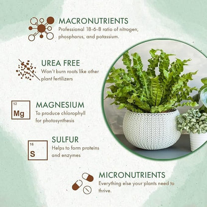 Indoor Plant Food - All-Purpose Fertilizer (Liquid Alternative) - Best for Houseplants Indoors + Common Home Outdoor Plants in Pots (5 oz)