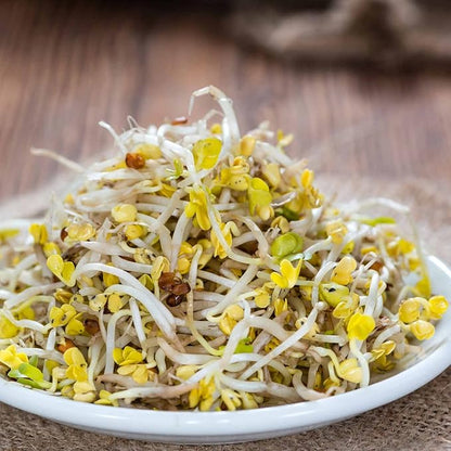 Handy Pantry Organic Radish Sprouting Seeds 4.5 Lb Non-GMO Daikon Radish Seed | Bulk Radish Seeds for Planting, Sprouting, Microgreens