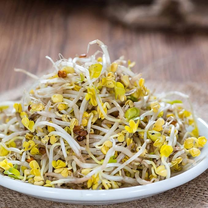 Organic Radish Sprouting Seeds: 30 Lb - Bulk Non-GMO Radish Seed for Sprouting Sprouts, Microgreens, Prepper Food Storage, Hydroponics, Vegetable Gardening, More