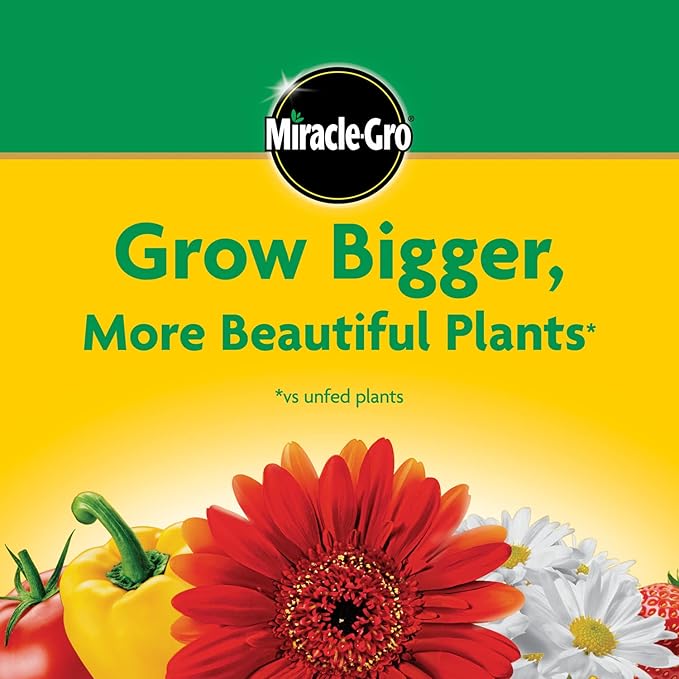 Miracle-Gro Water Soluble All Purpose Plant Food, Plant Fertilizer for Indoor or Outdoor Plants, Roses, Flowers, Houseplants, Vegetables and Trees, 10 lb.