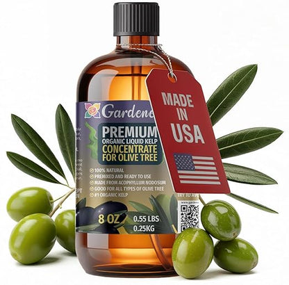 GARDENERA Premium Organic Seaweed & Kelp Superfood for Olive Tree Plants - 8 oz - Liquid Kelp Fertilizer Concentrate (Makes 45 Gallons)