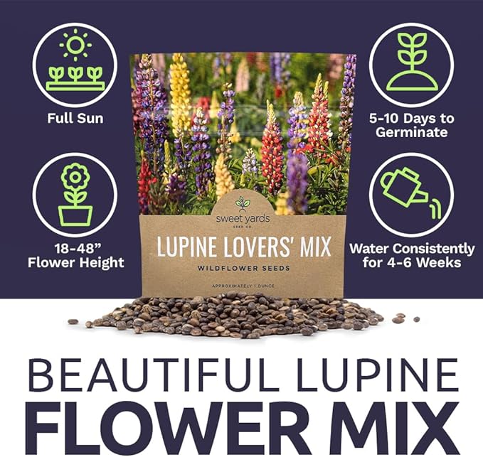 Lupine Wildflower Seeds - Large 1 Ounce Packet - Over 1,200 Annual and Perennial Mixed Lupine Flower Seeds