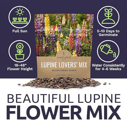Lupine Wildflower Seeds - Large 1 Ounce Packet - Over 1,200 Annual and Perennial Mixed Lupine Flower Seeds