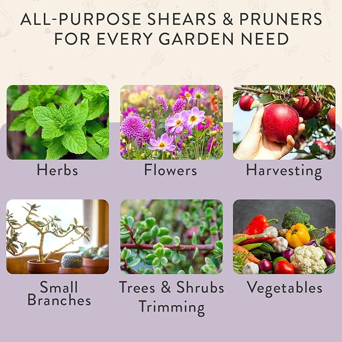 Modern Sprout Hand Pruners & Shears Set with Blister Pack - Lightweight Gardening Tools with Easy Lock - Sharp Carbon Steel Blades -Rust Resistant Scissors for Herbs, Flowers - Lavender
