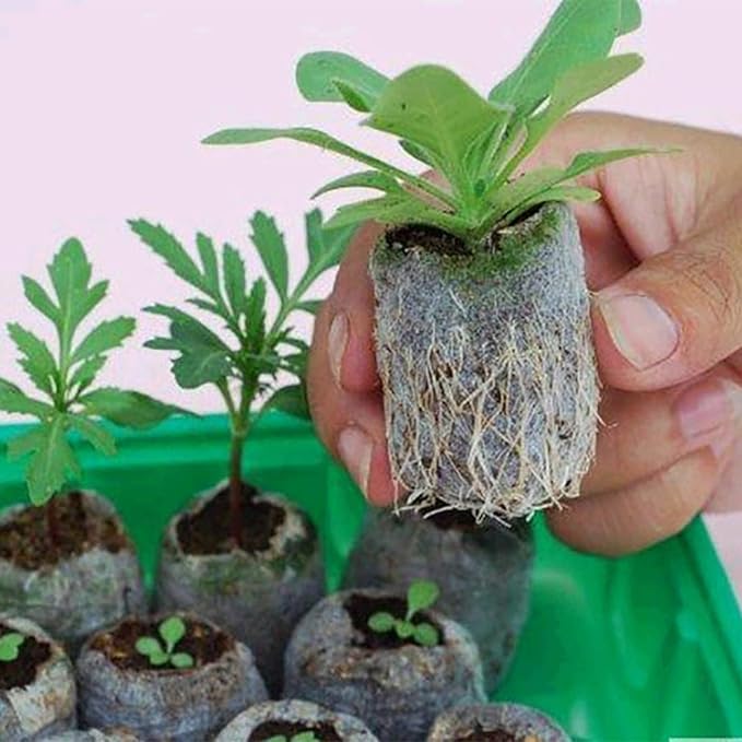 Tlswshsy 120 Pcs 30mm Peat Pellet Plant Pallet Seedling Soil Block, Plant Starting Plugs, Transplanting Growing Garden Flower Vegetables