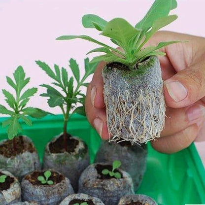 Tlswshsy 120 Pcs 30mm Peat Pellet Plant Pallet Seedling Soil Block, Plant Starting Plugs, Transplanting Growing Garden Flower Vegetables