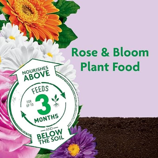 Miracle-Gro Shake 'N Feed Rose & Bloom Plant Food