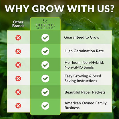 Survival Garden Seeds - Common Sunflower (Helianthus annuus) Seeds for Planting | Giant Bird & Pollinator Magnet | Fast-Growing Native Wildflower - 1 Pack