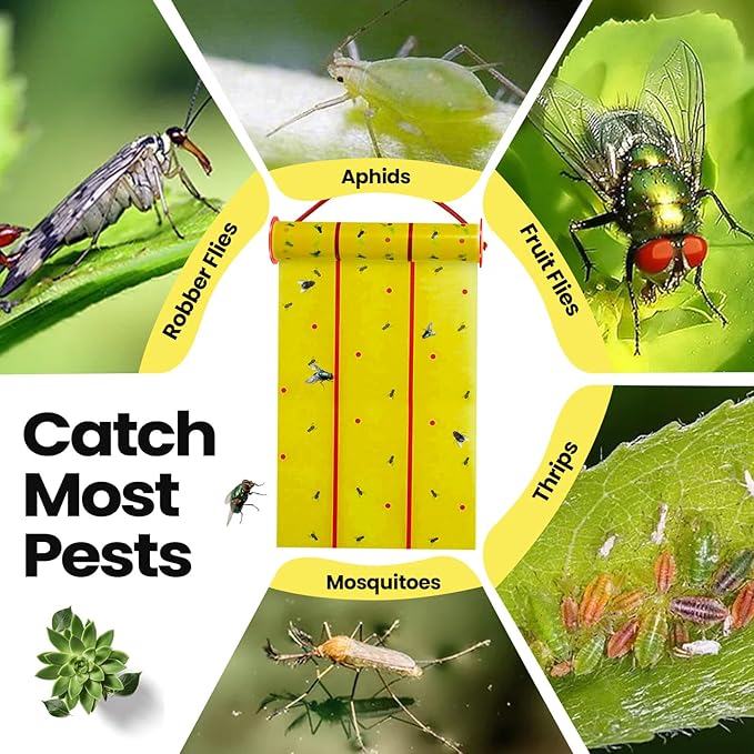 Qualirey Giant Sticky Fly Traps, Fly Strips for Indoor Outdoor Hanging Flying Tapes Non Toxic Ribbon Fruit Gnat Killer for Mosquito Plants House Horse Stable(30 ft,Yellow,5 Pcs)