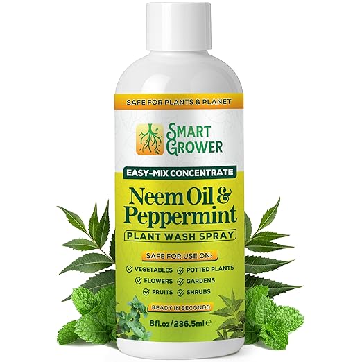 Neem Oil Spray for Plants with Peppermint Oil – for Indoor & Outdoor Plants, Gardens, & Houseplants– Best Value Refill 8 oz Concentrate Makes 1 Gallon RTU
