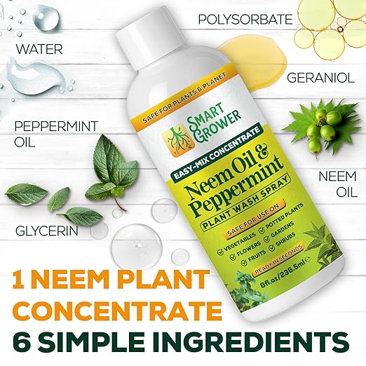 Neem Oil Spray for Plants with Peppermint Oil – for Indoor & Outdoor Plants, Gardens, & Houseplants– Best Value Refill 8 oz Concentrate Makes 1 Gallon RTU