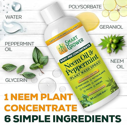 Neem Oil Spray for Plants with Peppermint Oil – for Indoor & Outdoor Plants, Gardens, & Houseplants– Best Value Refill 8 oz Concentrate Makes 1 Gallon RTU